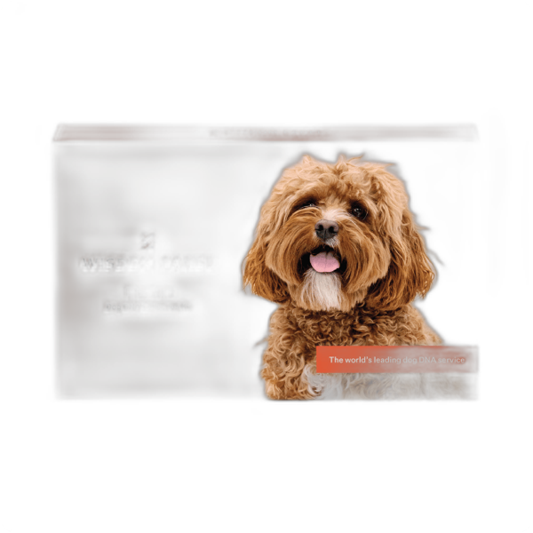 Wisdom Panel Premium DNA Kit for Dogs